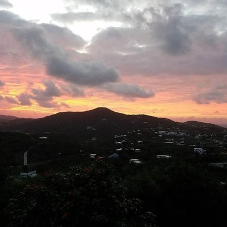 Caribbean Splendor With Million Dollar Views Βίλα Κρίστιανστεντ Εξωτερικό φωτογραφία
