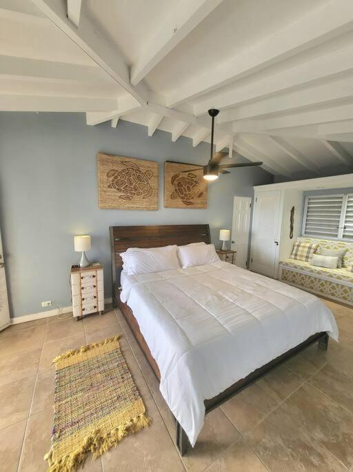 Caribbean Splendor With Million Dollar Views Βίλα Κρίστιανστεντ Εξωτερικό φωτογραφία